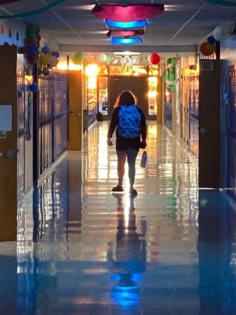 Student in sunlit hallway